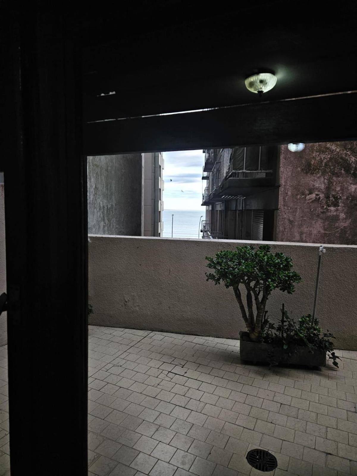 Confort Y Mar Ii *